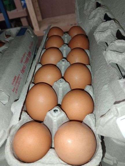 4 Doz Large Brown Eating Eggs