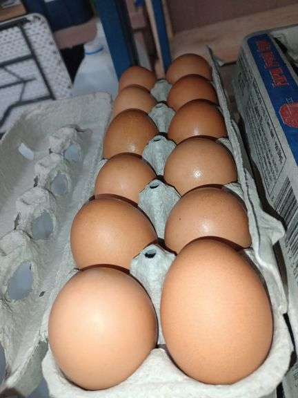 4 Doz Large Brown Eating Eggs