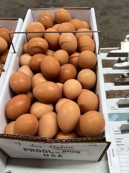 9 Doz MED Brown Eating Eggs