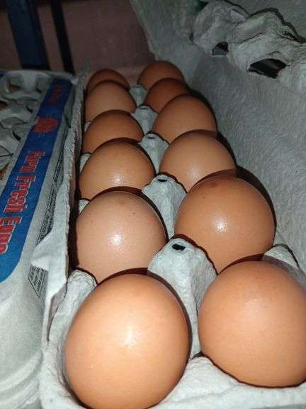 4 Doz Large Brown Eating Eggs