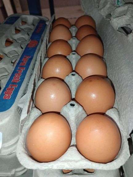 4 Doz Large Brown Eating Eggs