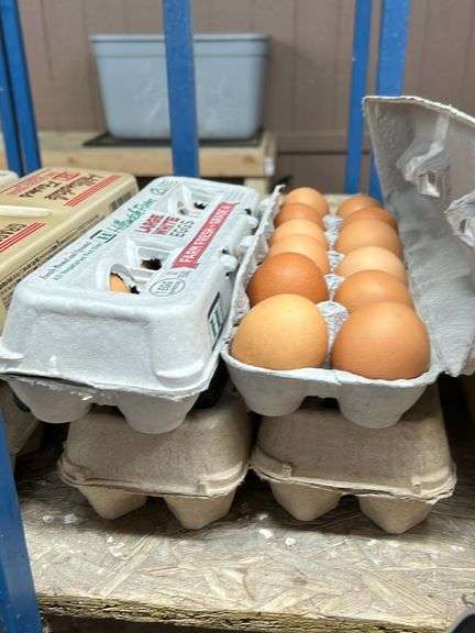 4 Doz Lg Brown Eating Eggs