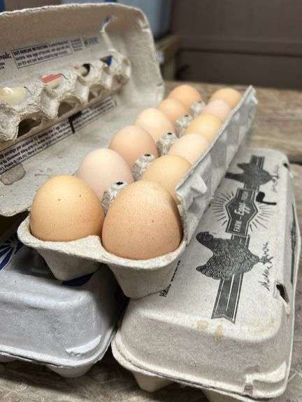 3 Doz Lg Brown Eating Eggs