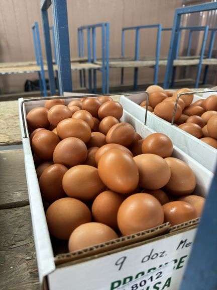 9 Doz Medium Brown Eating Eggs