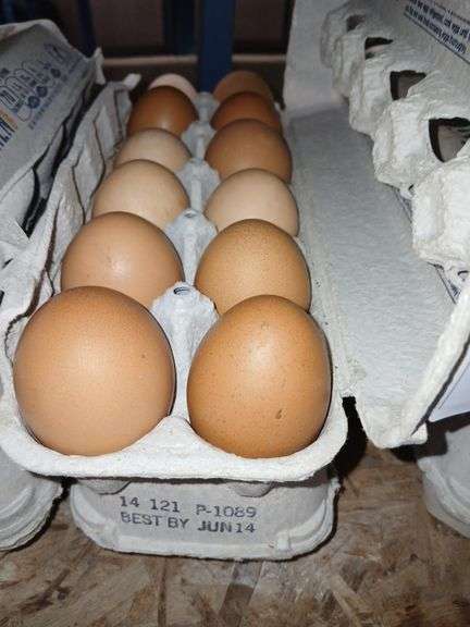 2 Doz Large Brown Eating Eggs