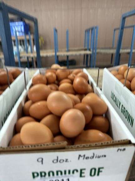 9 Doz Medium Brown Eating Eggs