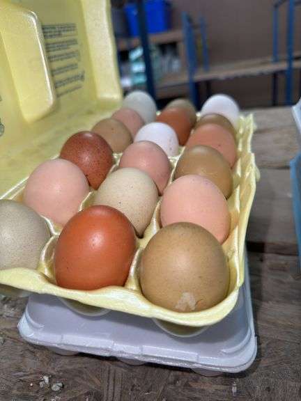 3 Doz Mixed Eating Eggs