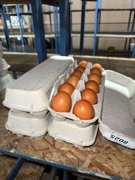 4 Doz Large Brown Eating Eggs