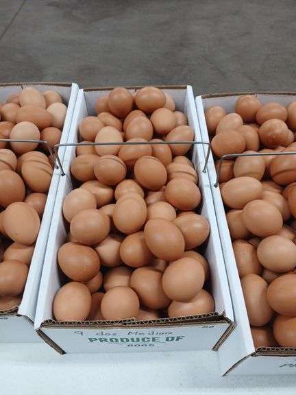 9 Doz Medium Brown Eating Eggs