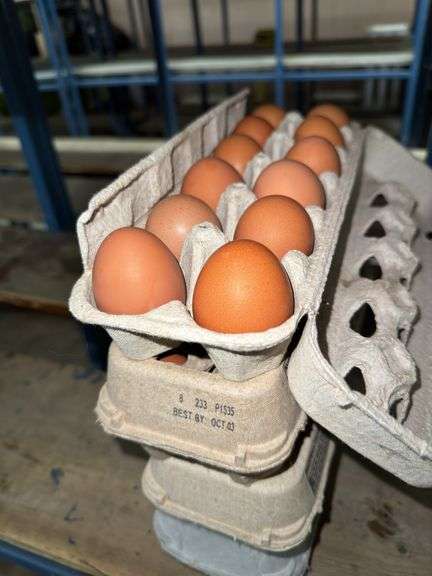 4 Doz Brown Eating Eggs