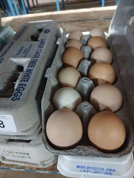 4 Doz Mixed Eating Eggs