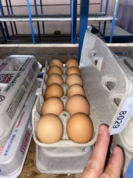 2 Doz Large Brown Eating Eggs