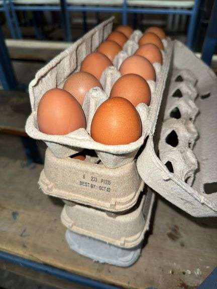4 Doz Brown Eating Eggs