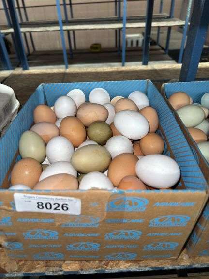 7 Doz Mixed Eating Eggs