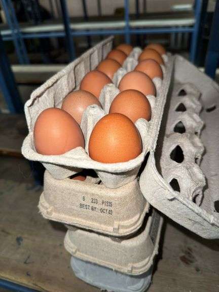 4 Doz Brown Eating Eggs