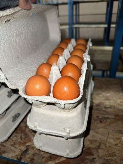 3 Doz Large Brown Eating Eggs