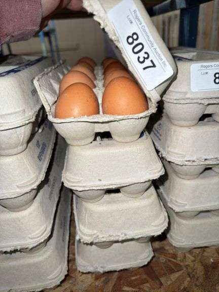 4 Doz Brown Eating Eggs