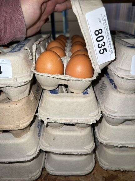 4 Doz Brown Eating Eggs