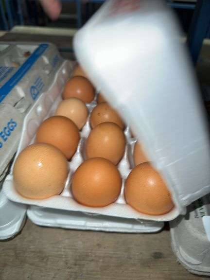 3 Doz Chicken Eating Eggs
