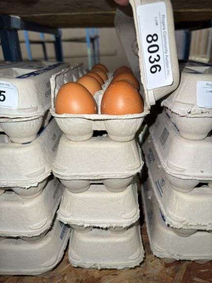 4 Doz Brown Eating Eggs
