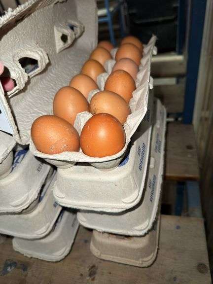 4 Doz Brown Eating Eggs