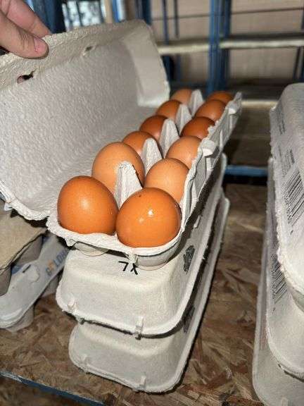 3 Doz Xlarge Brown Eating Eggs
