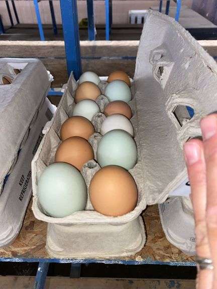 2 Doz Mixed Eating Eggs