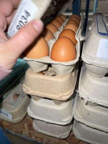 4 Doz Brown Eating Eggs