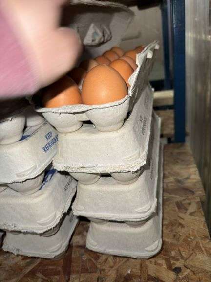 4 Doz Brown Eating Eggs