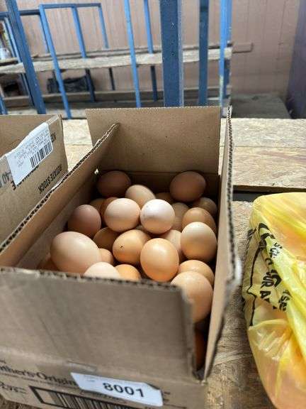 5 Doz Large Brown Eating Eggs