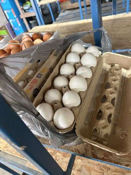 4 Doz White Eating Eggs