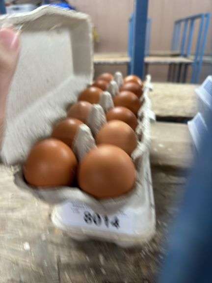 2 Doz Large Brown Eating Eggs