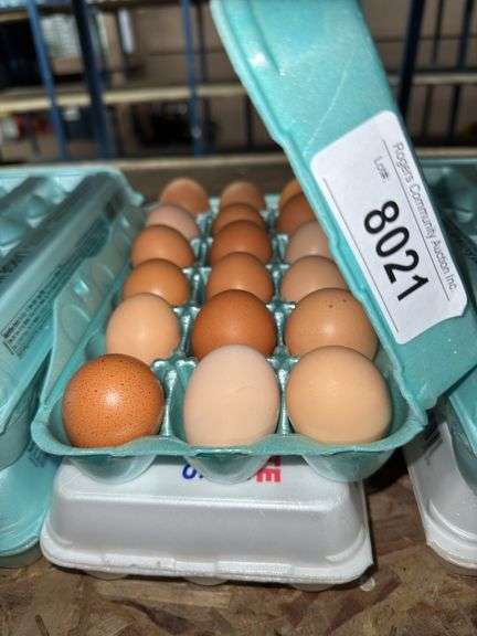3 Doz Large Brown Eating Eggs