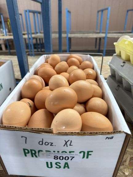 7 Doz Xlarge Brown Eating Eggs
