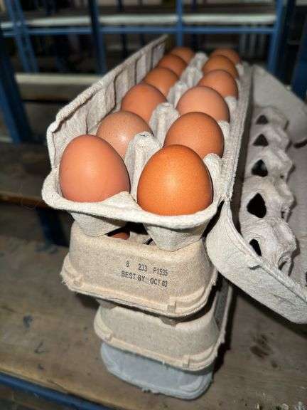 4 Doz Brown Eating Eggs