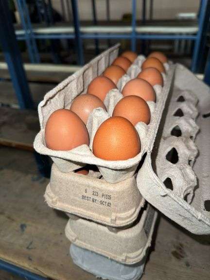 4 Doz Brown Eating Eggs