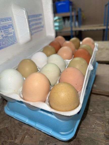 3 Doz Mixed Eating Eggs