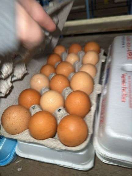 3 Doz Brown Eating Eggs