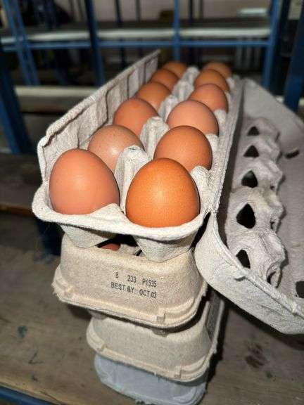 4 Doz Brown Eating Eggs