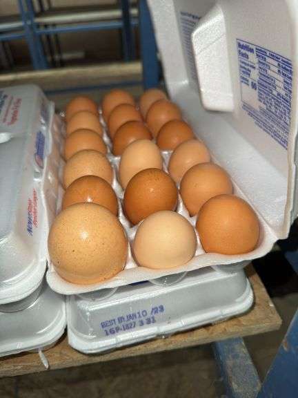 3 Doz Brown Eating Eggs