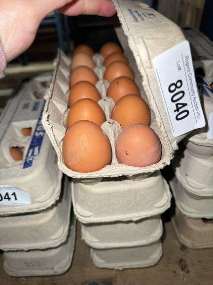 4 Doz Brown Eating Eggs