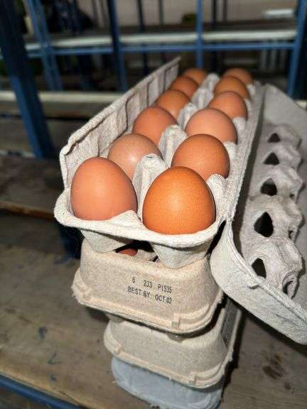 4 Doz Brown Eating Eggs