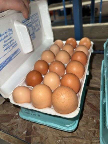 3 Doz Large Brown Eating Eggs