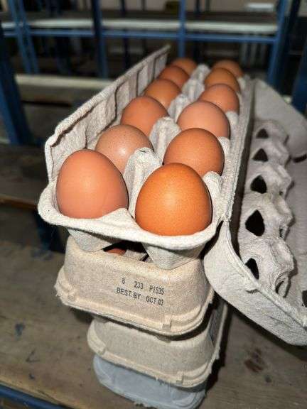 4 Doz Brown Eating Eggs