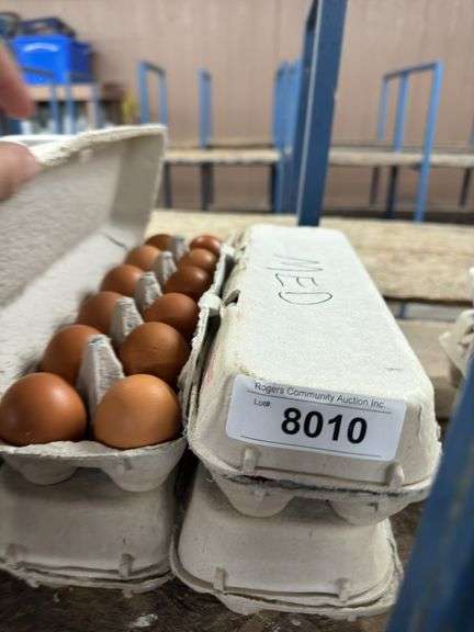 4 Doz Medium Brown Eating Eggs