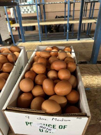 9 Doz Medium Brown Eating Eggs