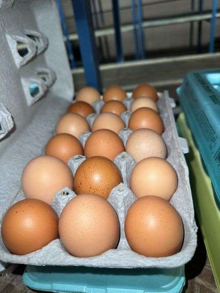 3 Doz Large Brown Eating Eggs
