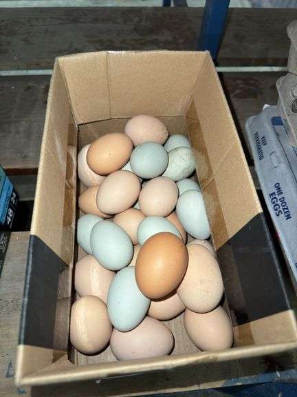 2.5 Doz Mixed Eating Eggs - Unwashed