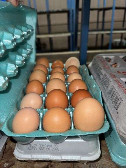 3 Doz Large Brown Eating Eggs