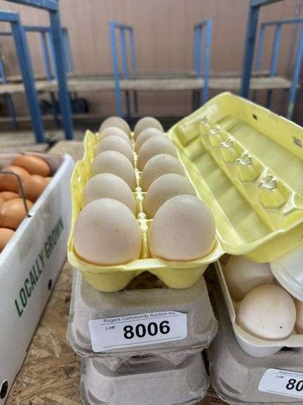 3 Doz Xlarge Duck Eating Eggs